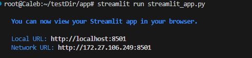 first run streamlit output